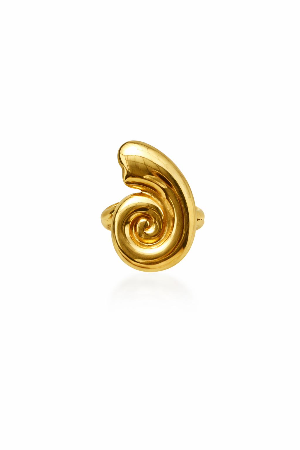 Ammonite Ring