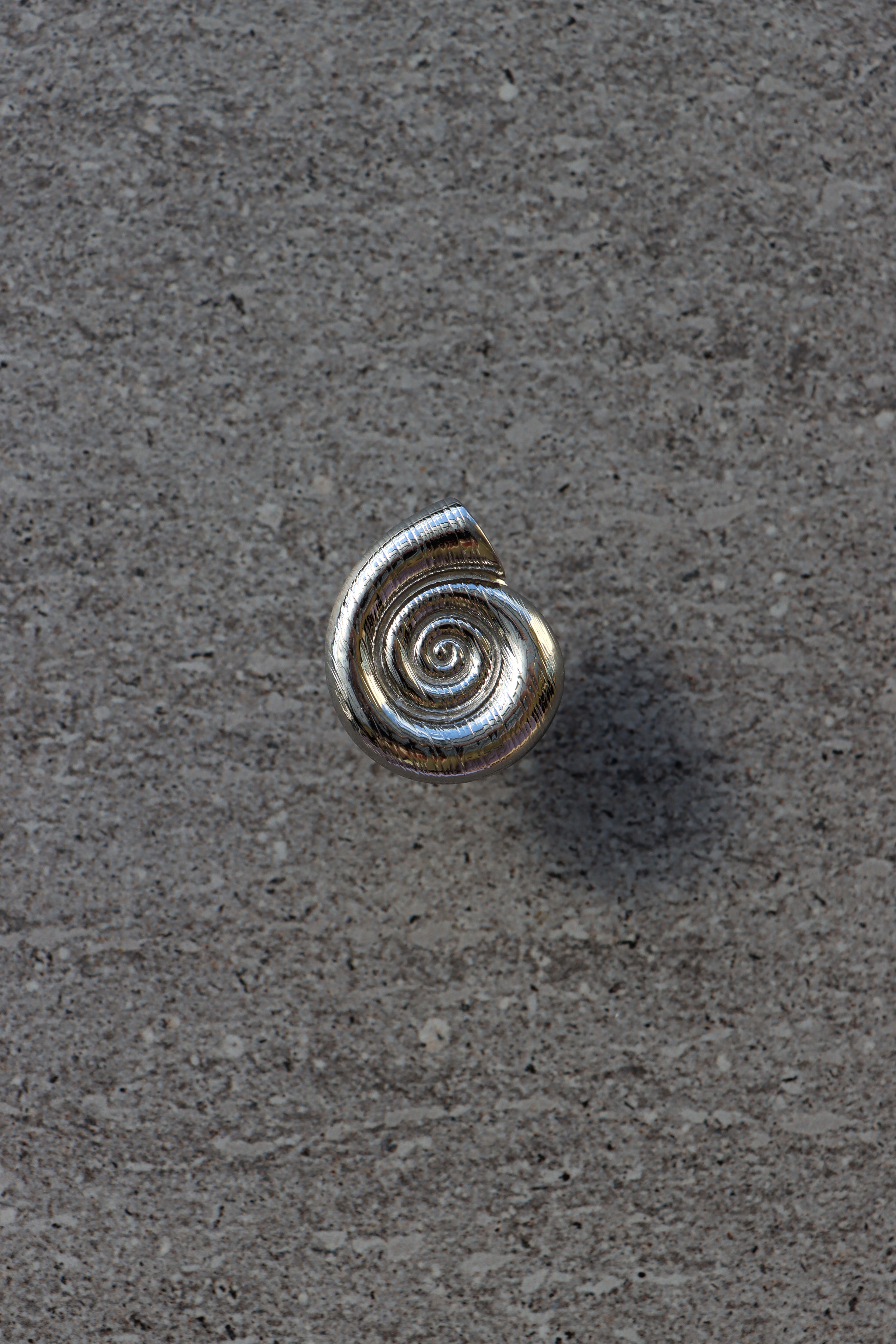 Ammonite Silver Ring