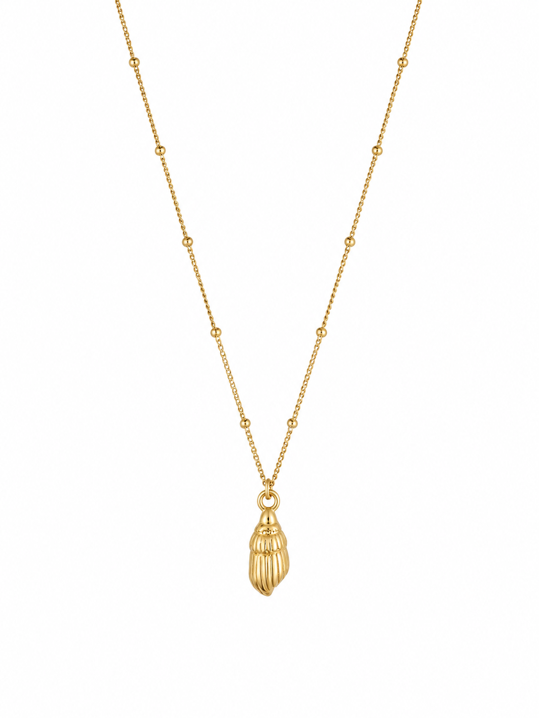 Spiral Shell Necklace
