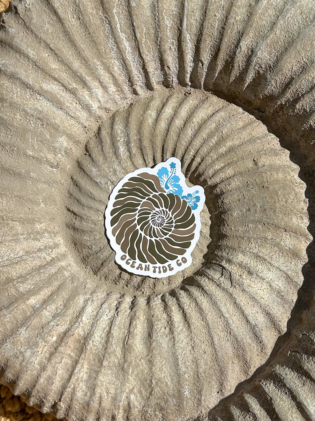 AMMONITE STICKER