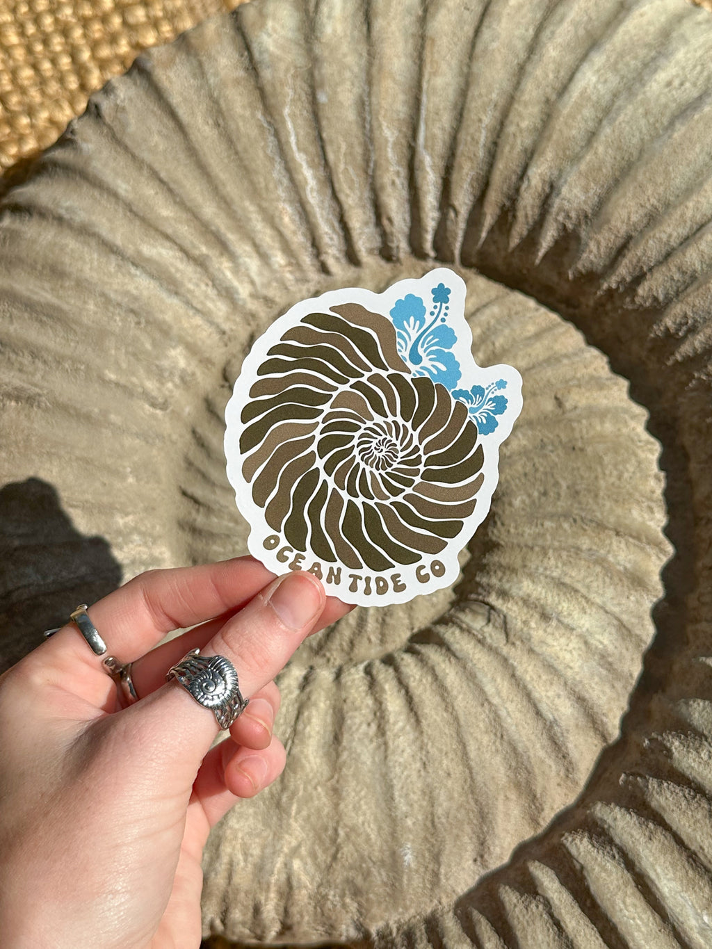 AMMONITE STICKER