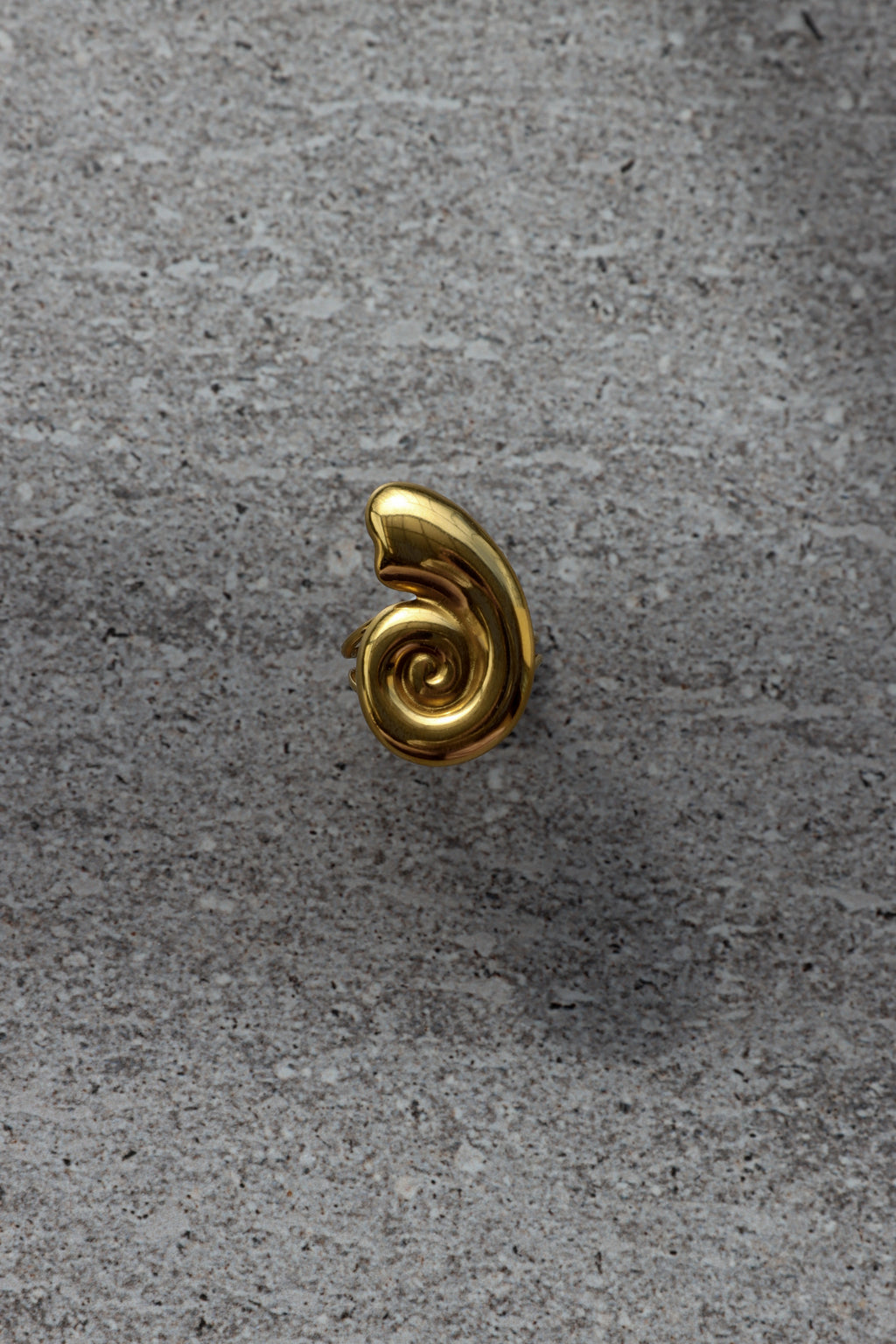 Ammonite Ring