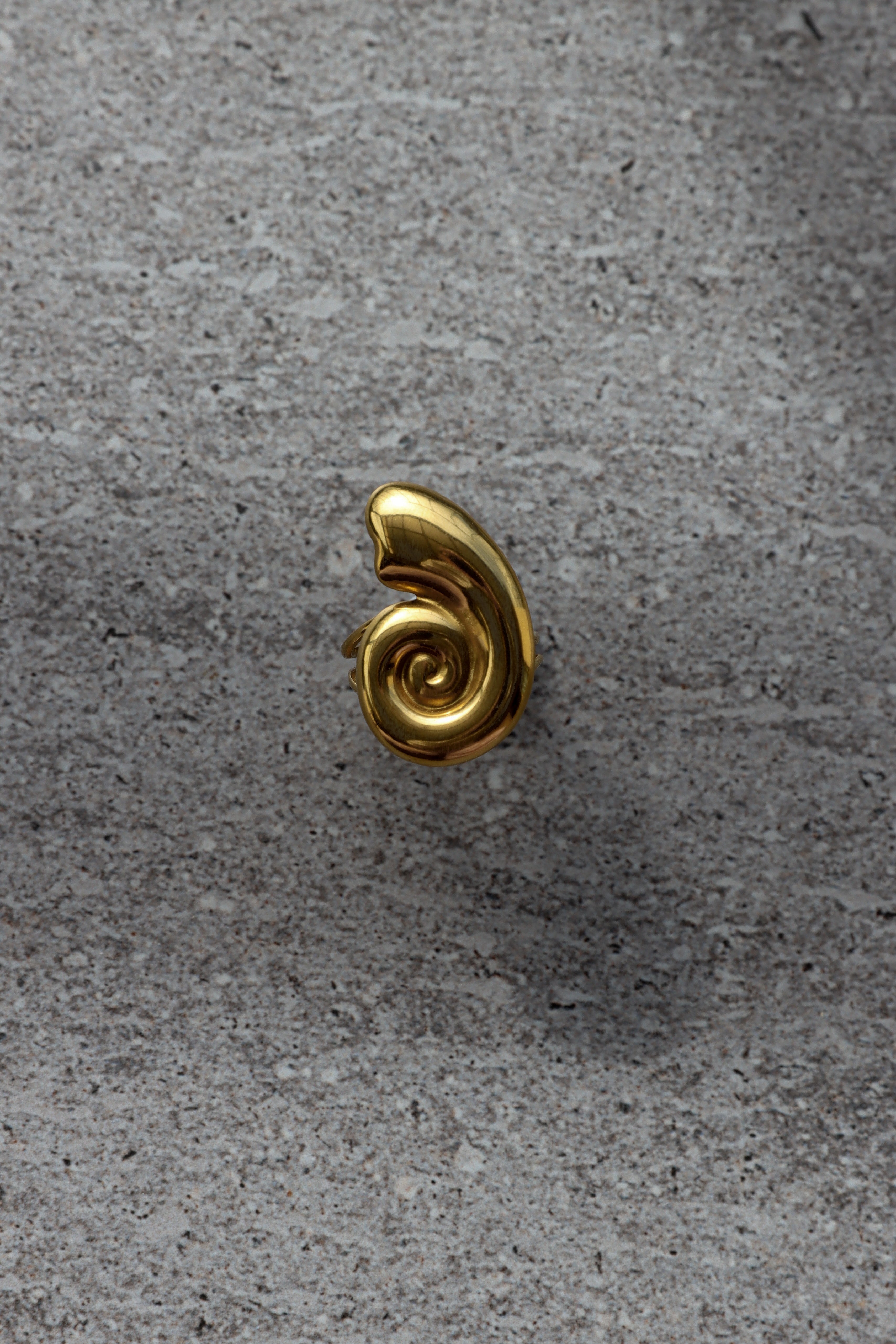 Ammonite Ring