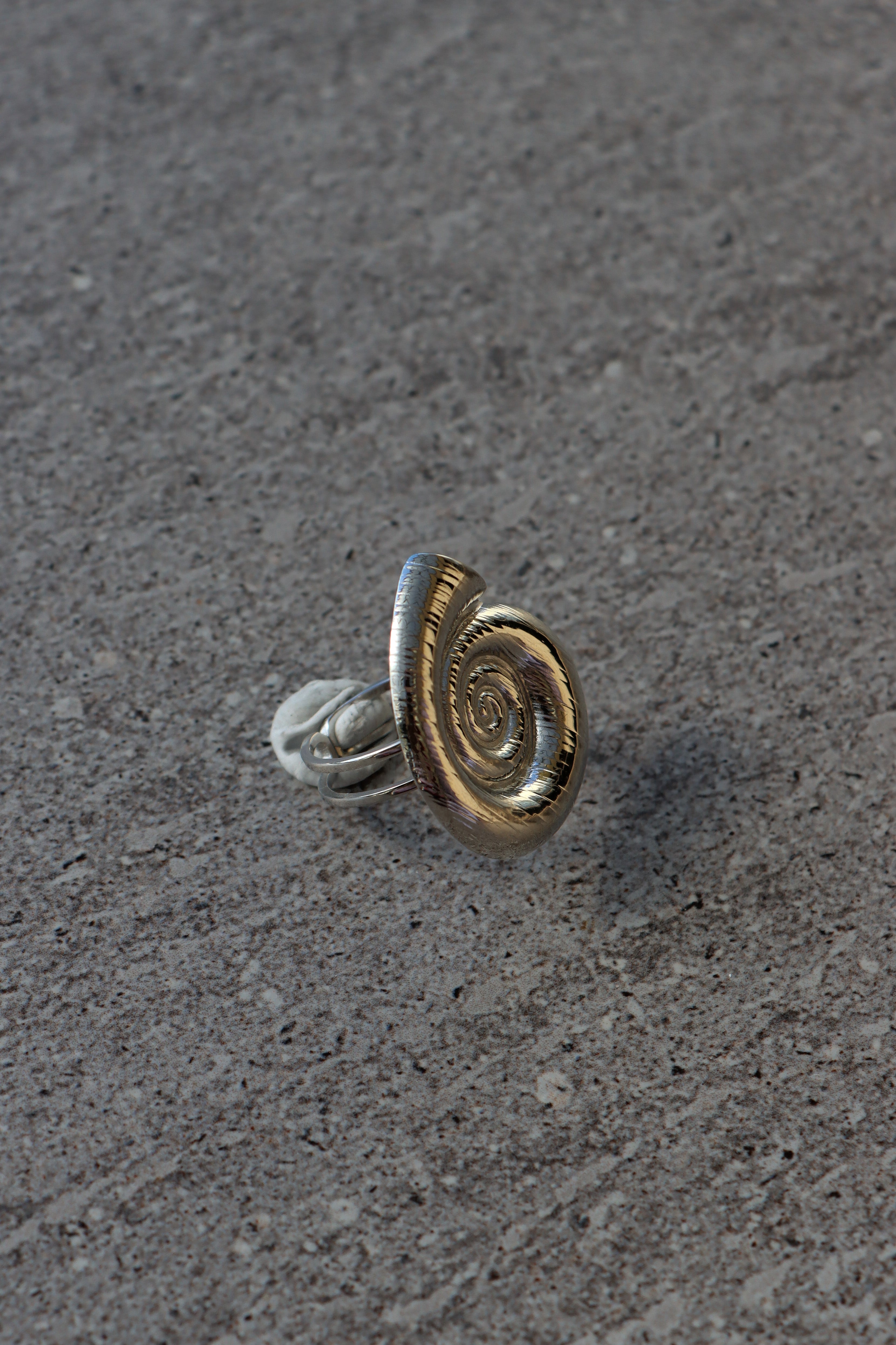 Ammonite Silver Ring