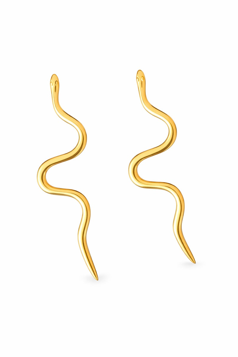 Soul Earrings