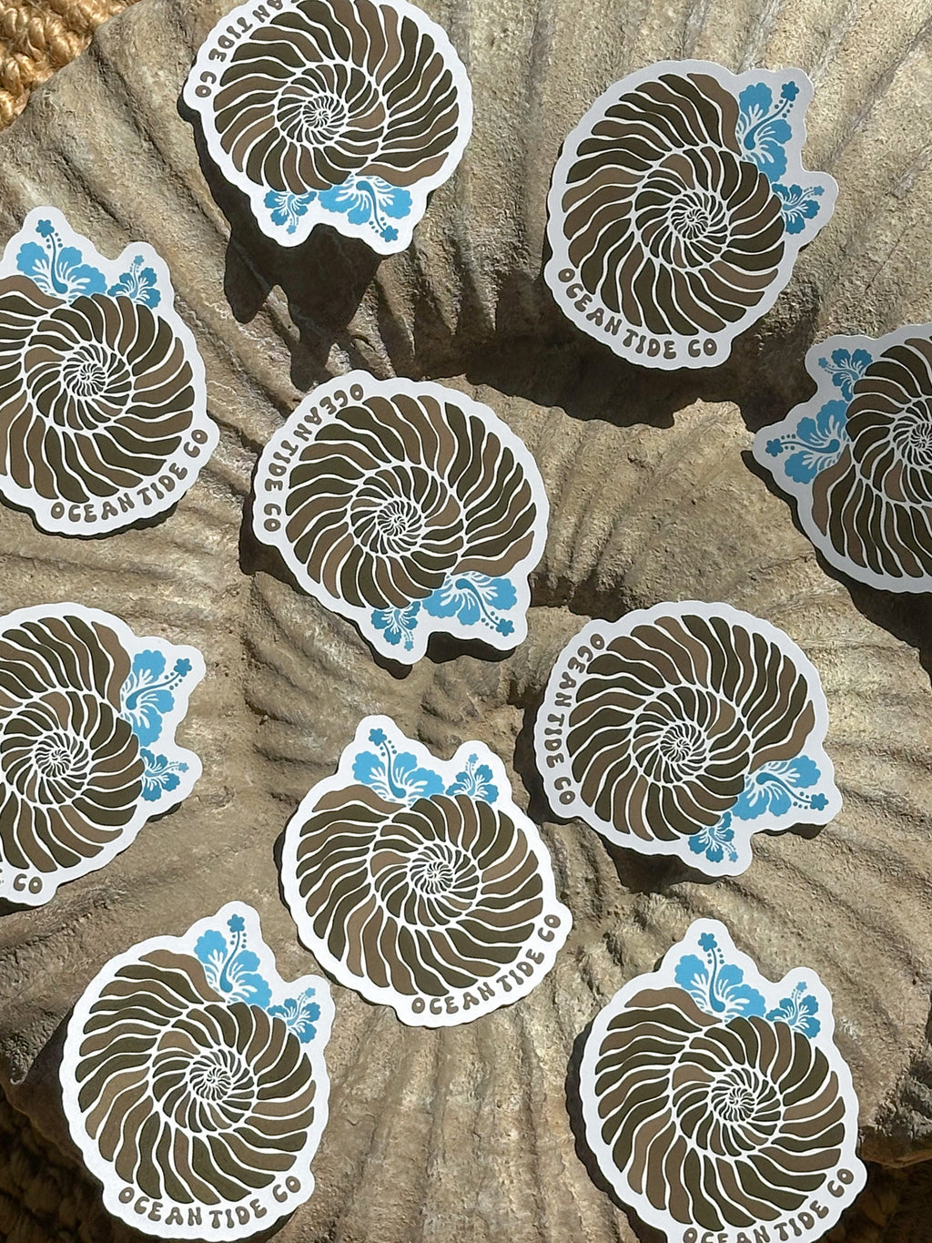 AMMONITE STICKER
