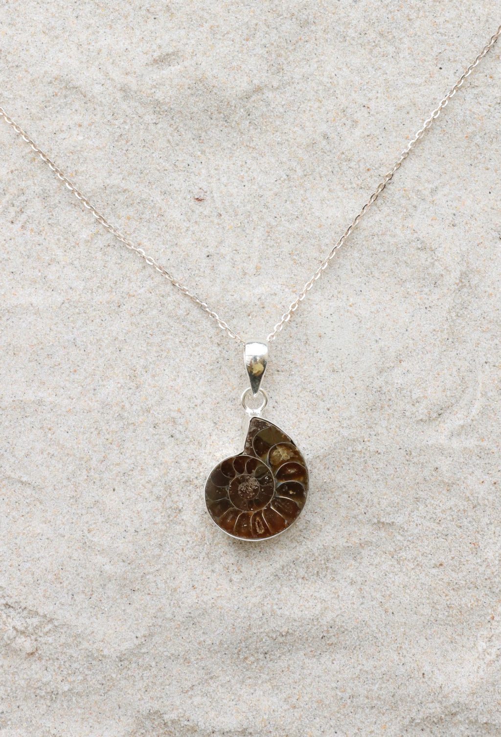 Ammonite Pendant