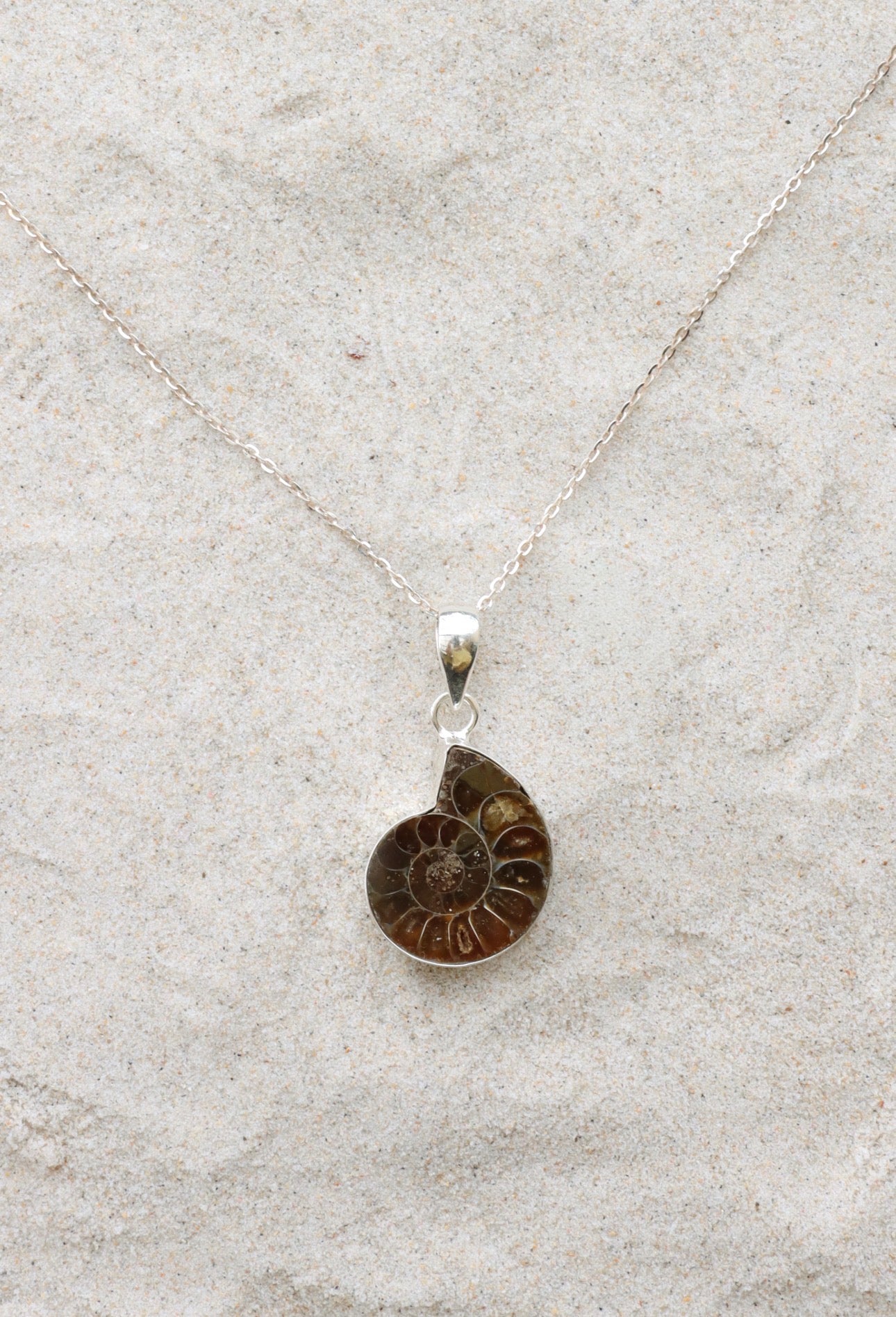 Ammonite Pendant
