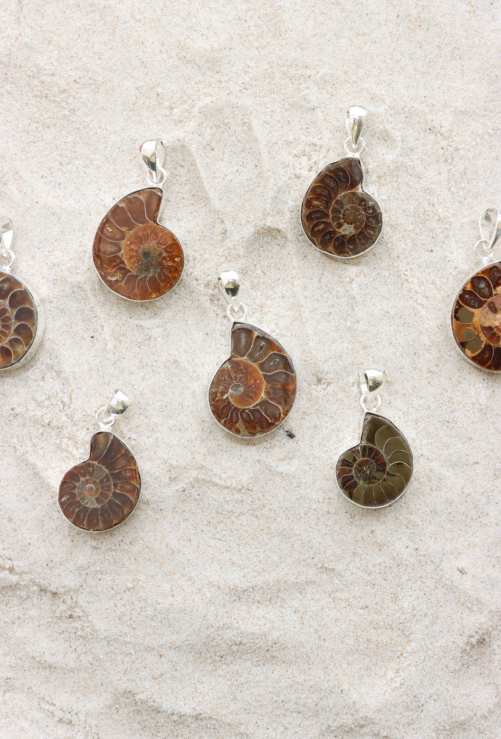 Ammonite Pendant