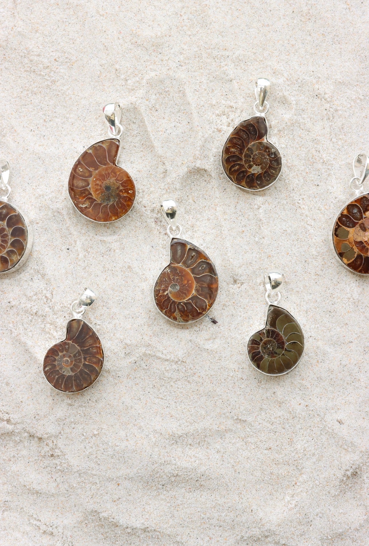 Ammonite Pendant