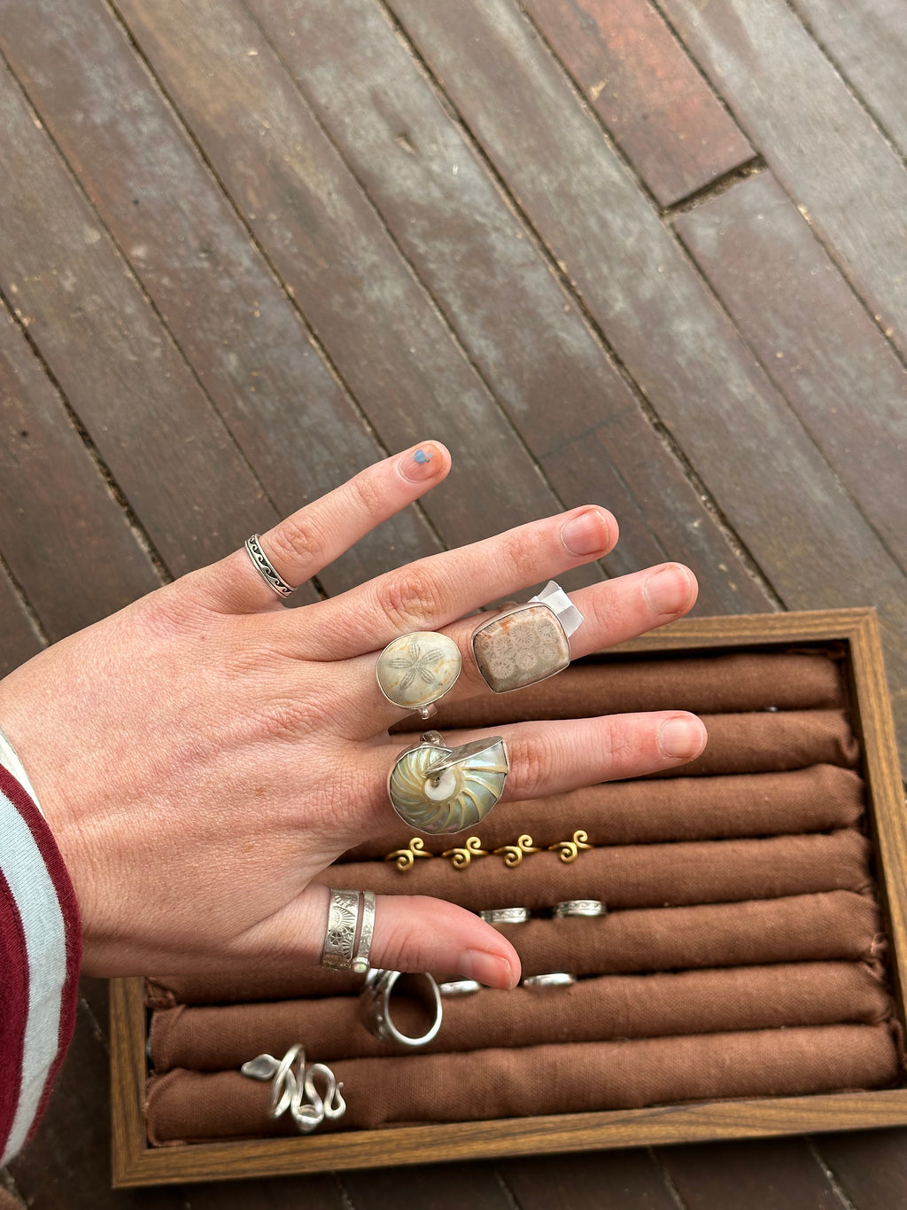 Nautilus Shell Ring