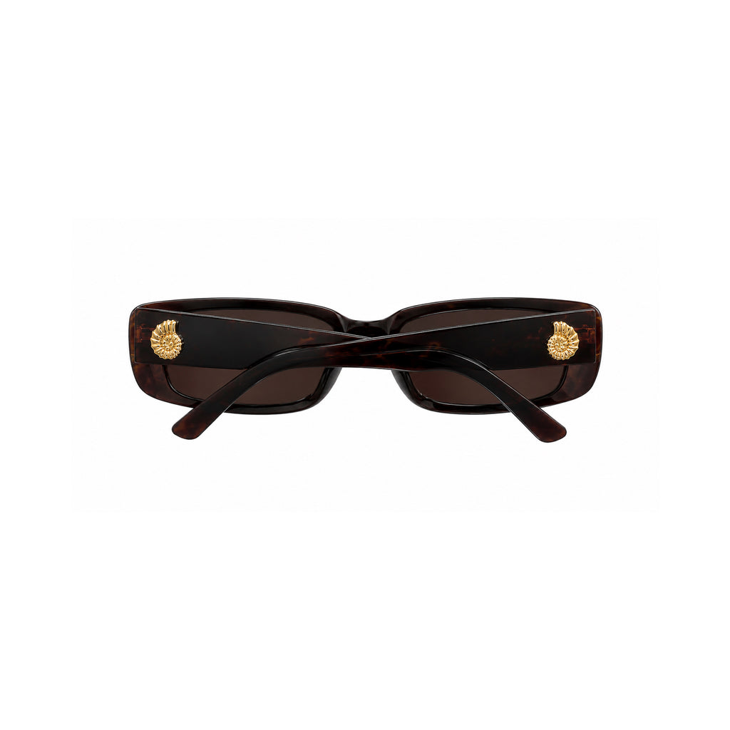 COASTLINE SUNNIES TORTOISE