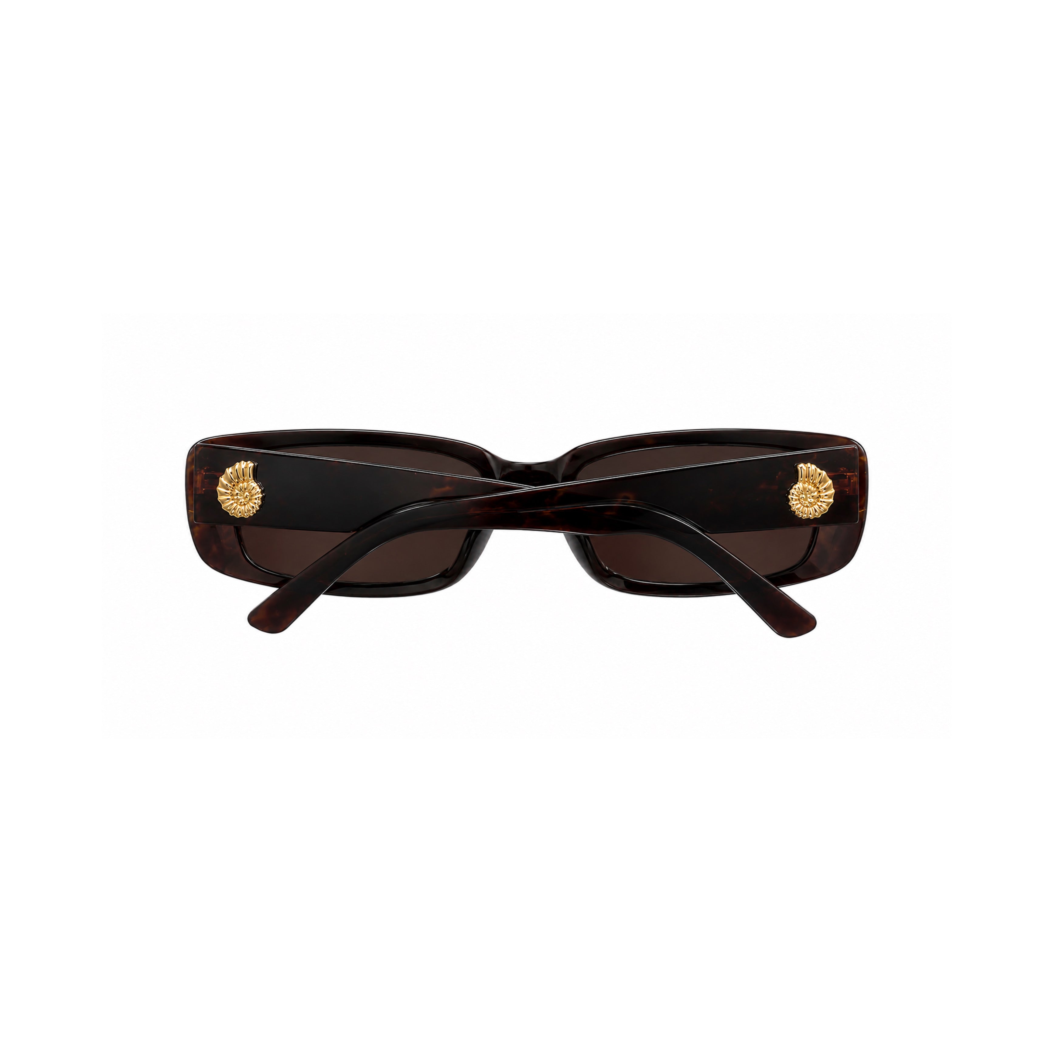 COASTLINE SUNNIES TORTOISE